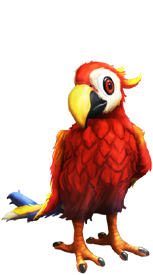 My Free Zoo Papuga